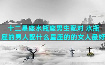 十二星座水瓶座男生配对 水瓶座的男人配什么星座的的女人最好